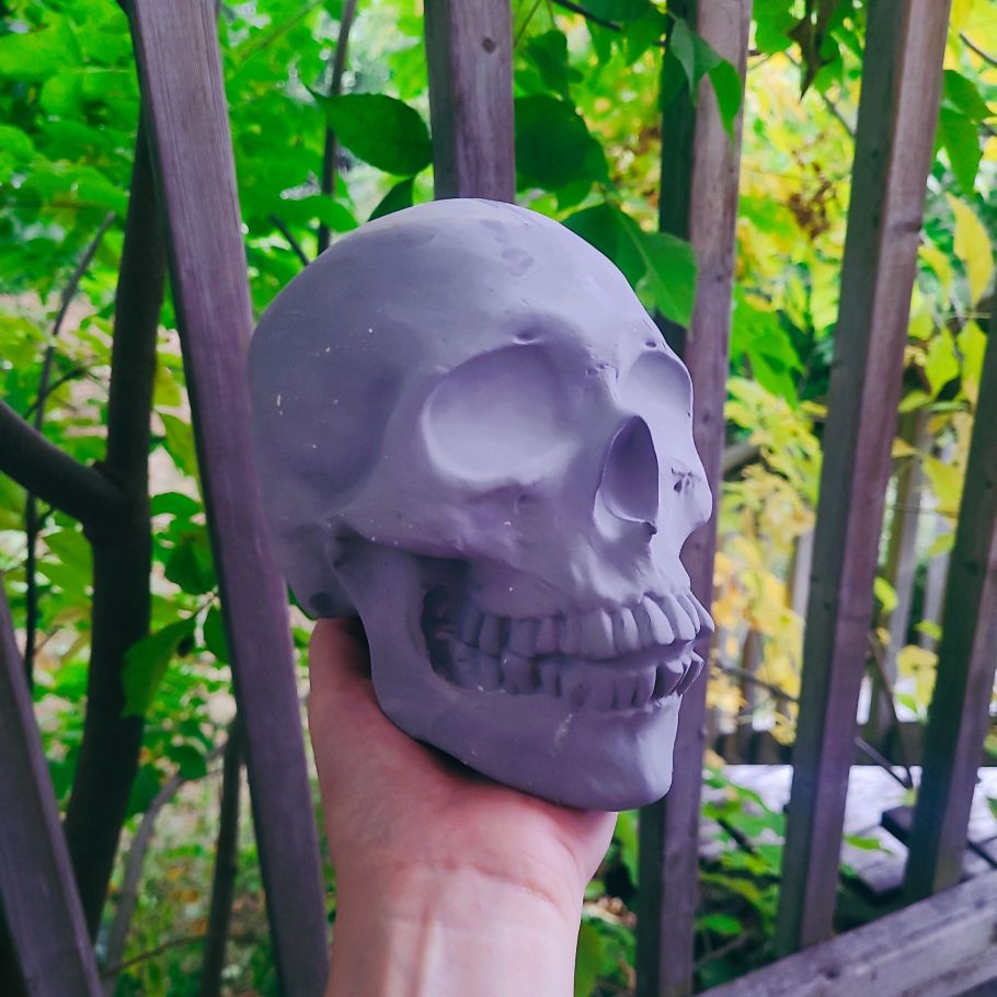 A hand holding a skull in a forest. 