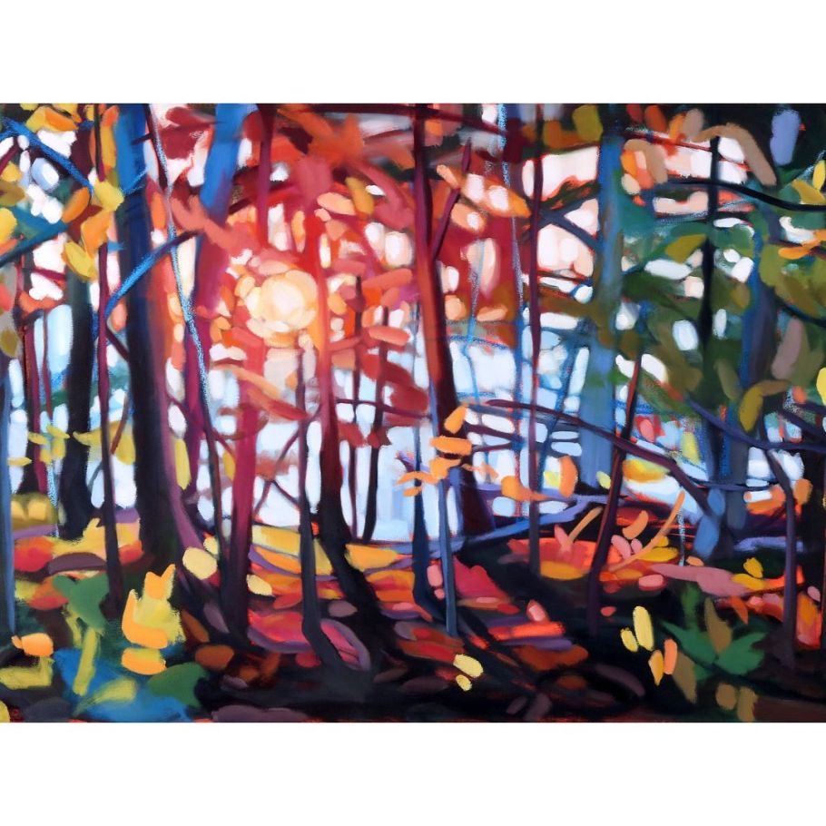 A scene of a forest with light coming through the trees.