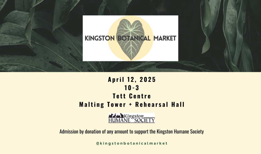 Cream and dark green graphic that reads Kingston Botanical Market. April 12, 2025 10am-3pm. Tett Centre, Malting Tower + Rehearsal Hall. Admission by donation of any amount to support the Kingston Humane Society.