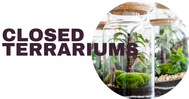 Text reads, "Closed Terrariums" with an image of a plant and moss in a jar. 