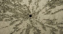 Photograph from the remote beach of Playa Zancudo in Costa Rica.